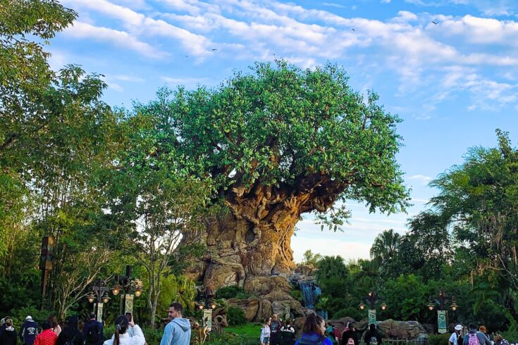 Celebrating 25 Years of Disney’s Animal Kingdom